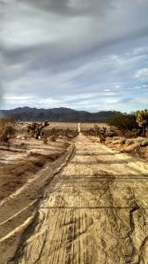 the road less traveled